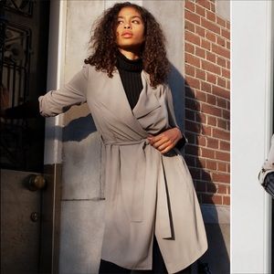 Aritzia Babaton Quincy Trench Coat